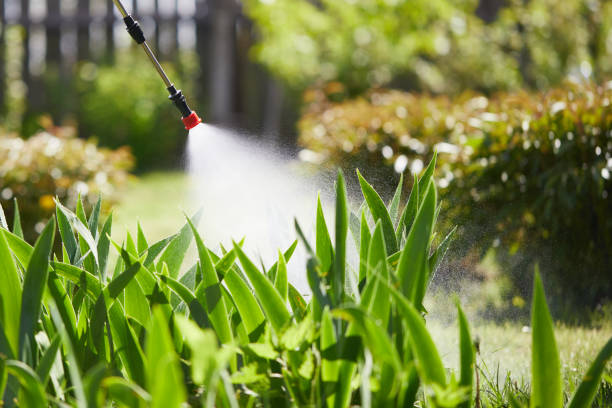 24/7 Emergency Fumigation Services experts in Fairfield Beach, OH